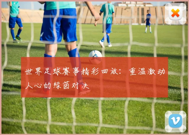 世界足球赛事精彩回放：重温激动人心的绿茵对决